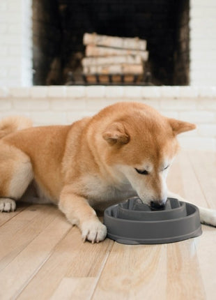 Outward Hound Fun Feeder Mini Miska spowalniająca szara [69891]