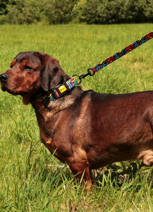 Dingo Smycz przepinana City - Graffiti 2x220cm