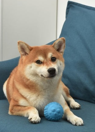 Arm&Hammer Super Treadz BlowFish [FFP15896]