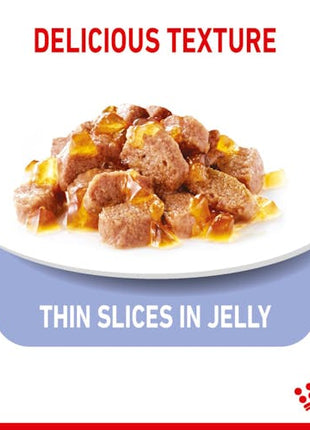 Royal Canin Appetite Control Care karma mokra w galaretce dla kotów dorosłych, domagających się jedzenia saszetka 85g