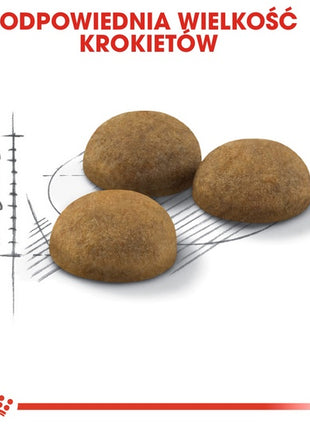 Royal Canin Indoor Long Hair karma sucha dla kotów dorosłych, długowłose, przebywających wyłącznie w domu 2kg