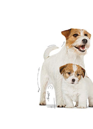 Royal Canin Starter Mother&Babydog karma mokra - mus, dla suk w czasie ciąży, laktacji oraz szczeniąt puszka 195g