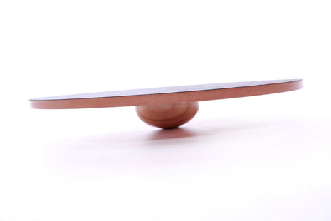 FitPaws Wobble Board