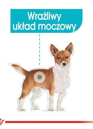 Royal Canin Urinary Care karma mokra dla psów dorosłych, wszystkich ras, wspierająca układ moczowy, pasztet saszetka 85g