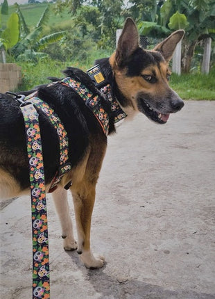 Dingo Szelki dwupaskowe Guard City - Chiapas rozmiar S