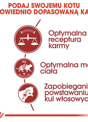 Royal Canin Fit karma sucha dla kotów dorosłych, wspierająca idealną kondycję 2kg