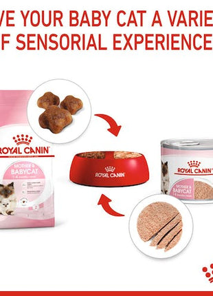 Royal Canin Mother & Babycat Mousse karma mokra - mus dla kociąt i kotek karmiących puszka 195g