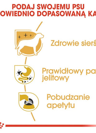Royal Canin Chihuahua Adult karma mokra – pasztet, dla psów dorosłych rasy chihuahua saszetka 85g