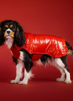 Chaba Kubrak Dopamine 3XL czerwony