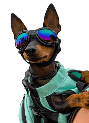 K9 Sport Shades Hondenzonnebril – afbeelding 9