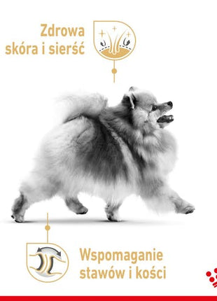 Royal Canin Pomeranian Adult karma mokra dla psów dorosłych rasy szpic miniaturowy, pasztet saszetka 85g