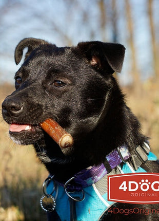 4DOGS Gryzak z penisa wołowego M