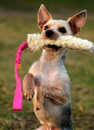 Dingo Zabawka dla psa - Szarpak Wełna owcza z rączką bungee różowy