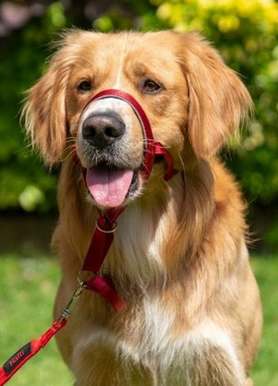 Halti Kantarek - obroża uzdowa rozmiar 3 czarna