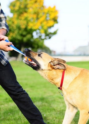 Chuckit! Ultra Tug Medium [231201]