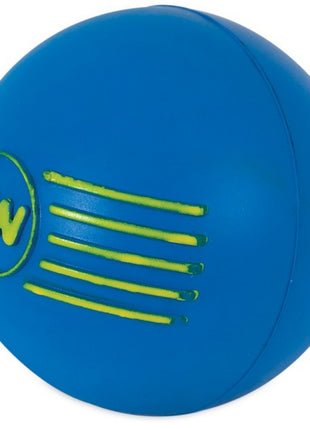 JW Pet iSqueak Ball Medium [32124D]