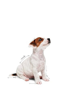 Royal Canin Mini Puppy karma mokra w sosie dla szczeniąt, od 2 do 10 miesiąca życia, ras małych saszetka 85g