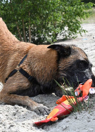 Hozies Nelly Niles aus Feuerwehrschlauch