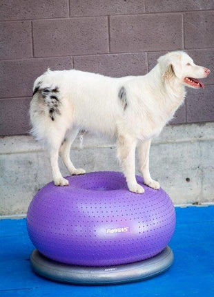 FitPaws TRAX Donut Paars 55 cm – afbeelding 2