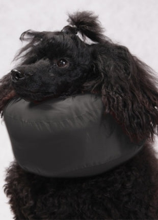 Grande Finale Kołnierz pooperacyjny rozmiar 7 [WET/K/7]