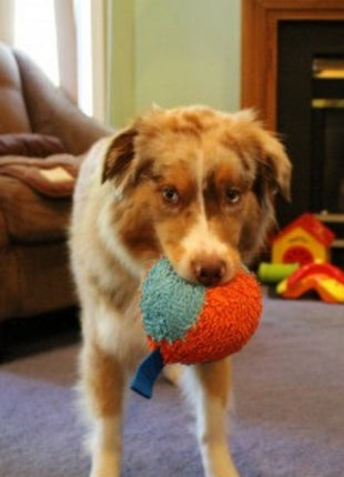 Chuckit! Indoor Ball [213201]