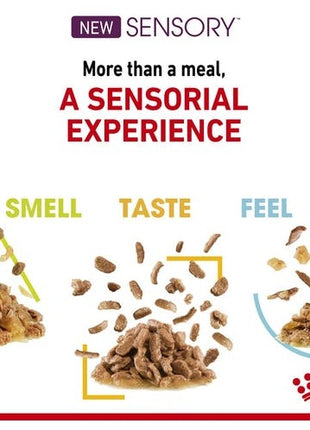 Royal Canin Sensory Feel w sosie karma mokra dla kotów dorosłych saszetka 85g