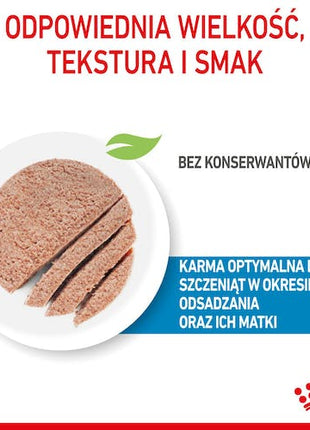 Royal Canin Starter Mother&Babydog karma mokra - mus, dla suk w czasie ciąży, laktacji oraz szczeniąt puszka 195g