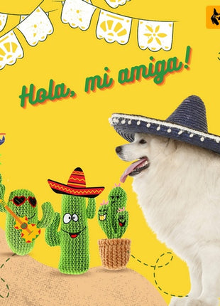 Dingo Zabawka dla psa - Kaktus Familia 20cm