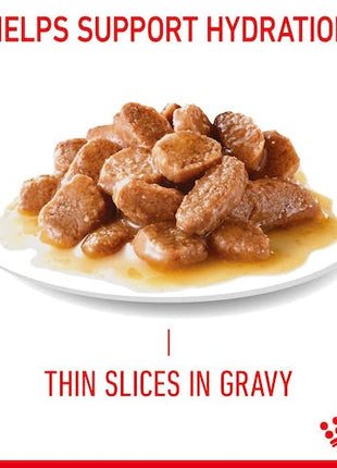 Royal Canin Hair & Skin Care w sosie  karma mokra dla kotów dorosłych, zdrowa skóra, piękna sierść saszetka 85g