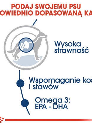 Royal Canin Maxi Adult karma mokra w sosie dla psów dorosłych, do 5 roku życia, ras dużych saszetka 140g