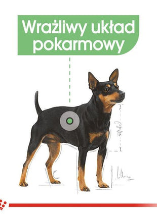 Royal Canin Digestive Care karma mokra dla psów dorosłych, wszystkich ras o wrażliwym przewodzie pokarmowym saszetka 85g