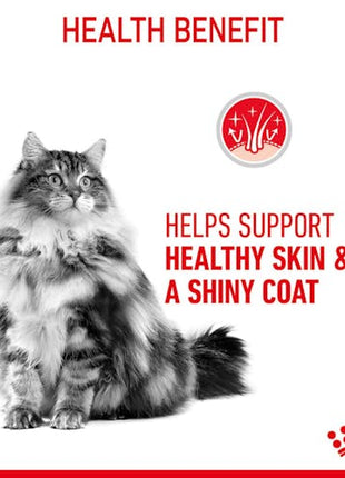Royal Canin Hair & Skin Care w sosie  karma mokra dla kotów dorosłych, zdrowa skóra, piękna sierść saszetka 85g