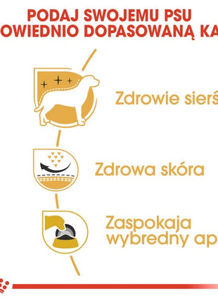 Royal Canin West Highland White Terrier Adult karma sucha dla psów dorosłych rasy west highland white terrier 3kg