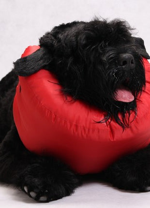 Grande Finale Kołnierz pooperacyjny rozmiar 6 [WET/K/6]