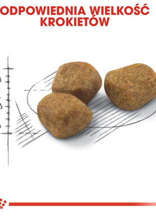 Royal Canin Fit karma sucha dla kotów dorosłych, wspierająca idealną kondycję 400g