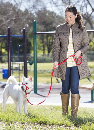 Halti Kantarek - obroża uzdowa rozmiar 1 czarna