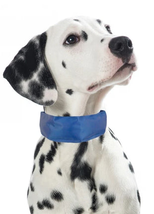Wander- & Outdoorbox für Hunde