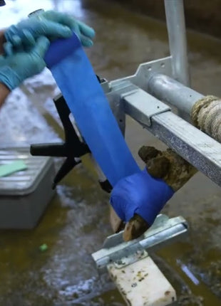 Easy Hoof Dry Pads