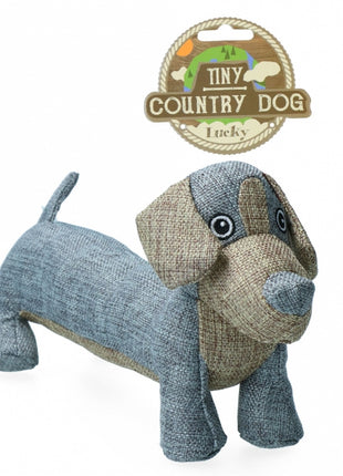 Country Dog Tiny Lucky