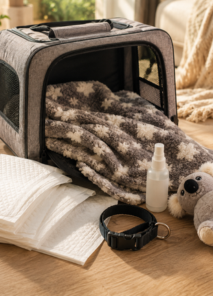Fidello puppy pick-up pack – everything you need for the day you pick up your puppy