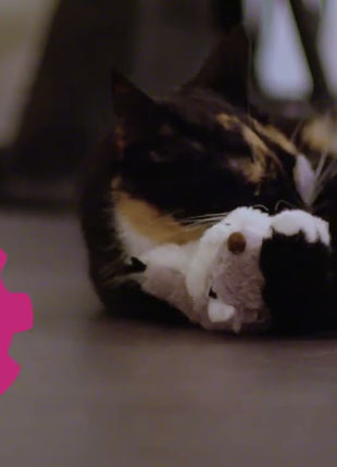 Robocat Bij