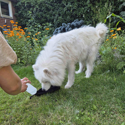 Petgear Travel Water Bottle – Water bottle and water bowl in one for on the go