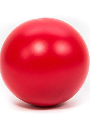 PROCYON Treibball