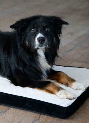 PROCYON Hundematte