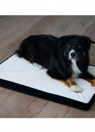 PROCYON Hundematte