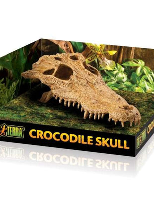 EXOTERRA Crocodile Skull