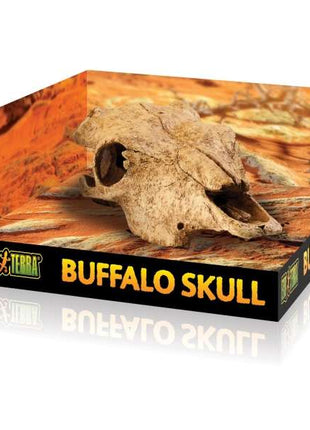 EXOTERRA Buffalo Skull