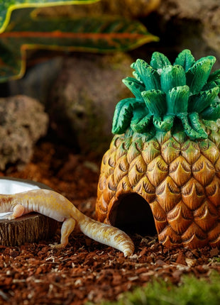 Exo Terra Tiki Kokosnuss-Wassernapf