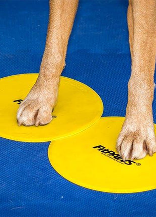 FitPaws Targets (4 stuks) – afbeelding 2