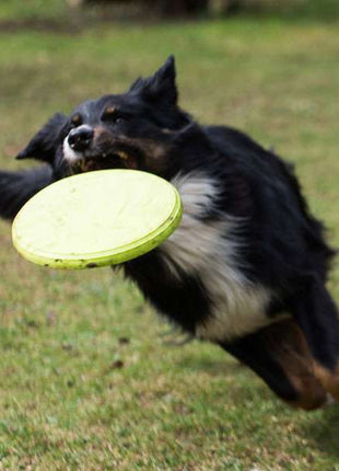 PROCYON TPR Frisbee